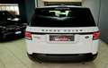 Land Rover Range Rover Sport 3.0 SDV6 HSE Dynamic 306cv BLACK LINE Bianco - thumbnail 4