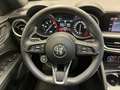 Alfa Romeo Stelvio 2020 - Stelvio 2.2 t Veloce Q4 210cv auto Grijs - thumbnail 13