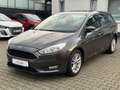 Ford Focus Turnier Business Gris - thumbnail 12