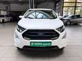 Ford EcoSport ST-Line, Klima Navi SHZ AHK Cam Weiß - thumbnail 6