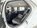 Ford EcoSport ST-Line, Klima Navi SHZ AHK Cam Weiß - thumbnail 17