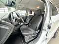 Ford EcoSport ST-Line, Klima Navi SHZ AHK Cam Weiß - thumbnail 16