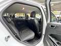 Ford EcoSport ST-Line, Klima Navi SHZ AHK Cam Weiß - thumbnail 18