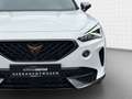CUPRA Formentor 1.5 TSI DSG *Pano*El.Heckkl.*Kamera*Ke Weiß - thumbnail 12