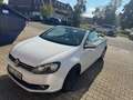 Volkswagen Golf Cabriolet Cabrio 1.4 TSI DSG Exclusive - thumbnail 6