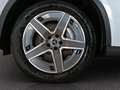 Mercedes-Benz GLC 220 d 4Matic Mild Hybrid AMG Line Advanced Plus Argento - thumbnail 14