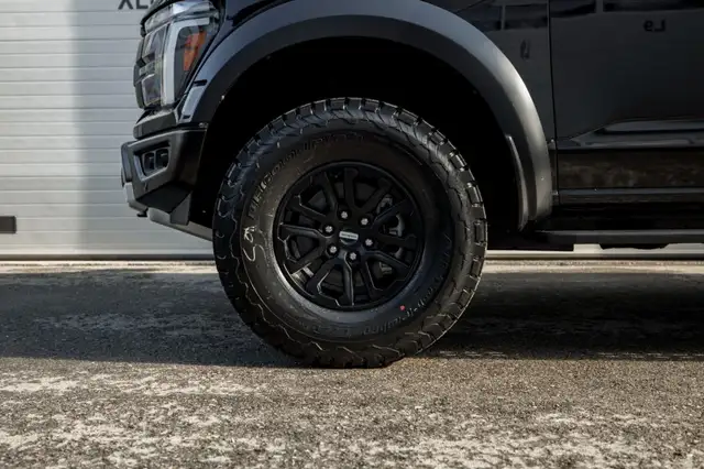Ford F 150 F-150 Raptor SuperCrew 5,5'-Bed 4x4 Ansicht 10