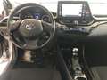 Toyota C-HR C-LUB Grijs - thumbnail 11