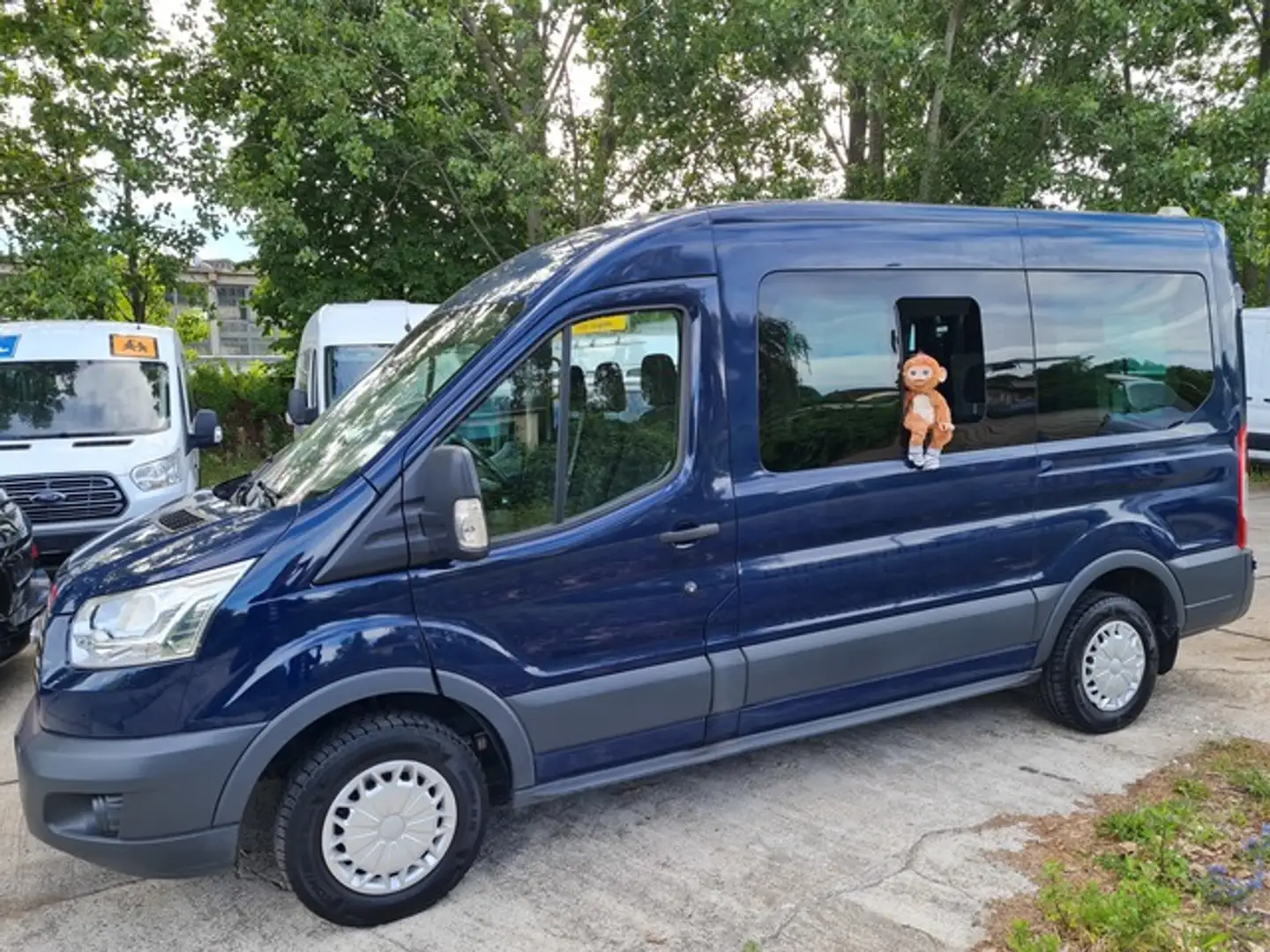 Ford Transit HOCHDACH + 8SITZE+KLIMA+ STANDHZG+ RAMPE Bleu - 2