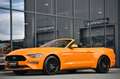 Ford Mustang Cabrio 5.0 Ti-VCT V8 GT Aut. Premium 2* Orange - thumbnail 39