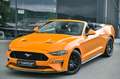 Ford Mustang Cabrio 5.0 Ti-VCT V8 GT Aut. Premium 2* Orange - thumbnail 34