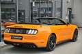 Ford Mustang Cabrio 5.0 Ti-VCT V8 GT Aut. Premium 2* Orange - thumbnail 5