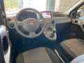 Fiat Panda 1.2 4x4 Climbing Blanc - thumbnail 14