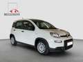 Fiat Panda 1,0 Hybrid  Allwetterreifen/Klima/DAB Blanc - thumbnail 3