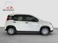 Fiat Panda 1,0 Hybrid  Allwetterreifen/Klima/DAB Blanc - thumbnail 4