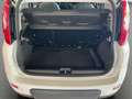 Fiat Panda 1,0 Hybrid  Allwetterreifen/Klima/DAB Blanc - thumbnail 14