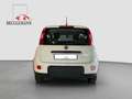Fiat Panda 1,0 Hybrid  Allwetterreifen/Klima/DAB Blanc - thumbnail 6