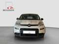 Fiat Panda 1,0 Hybrid  Allwetterreifen/Klima/DAB Blanc - thumbnail 2