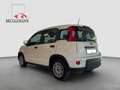 Fiat Panda 1,0 Hybrid  Allwetterreifen/Klima/DAB Blanc - thumbnail 7