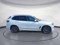 BMW X5 xDrive30d M Sportpaket Sport Aut. Head-Up AHK White - thumbnail 6