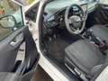 Ford Fiesta Fiesta 1.1 TREND Blanc - thumbnail 19