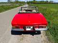 Fiat 124 Spider AS Prima Serie Rot - thumbnail 6