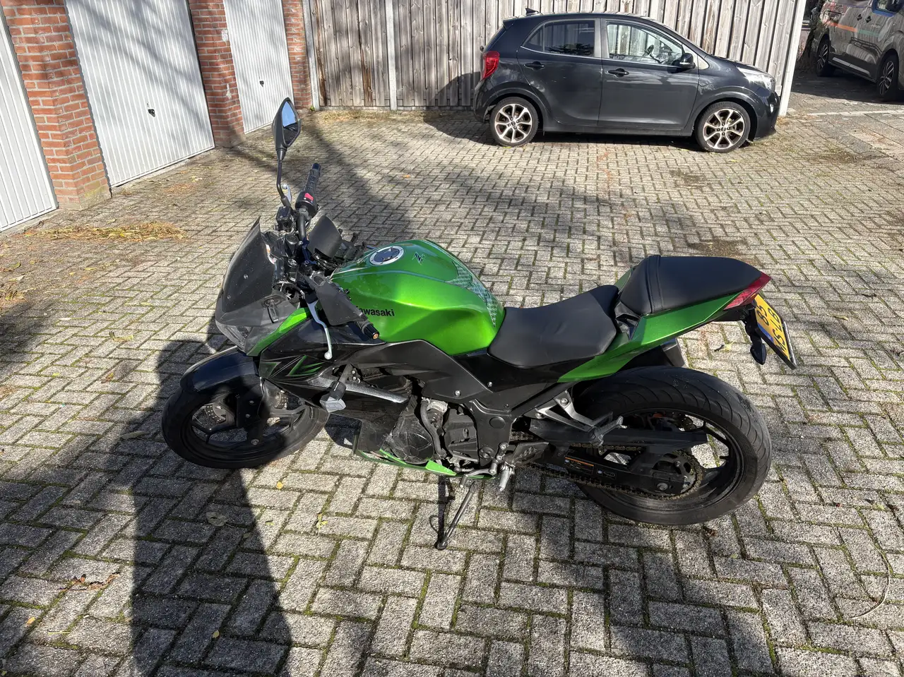 Kawasaki Z 300
