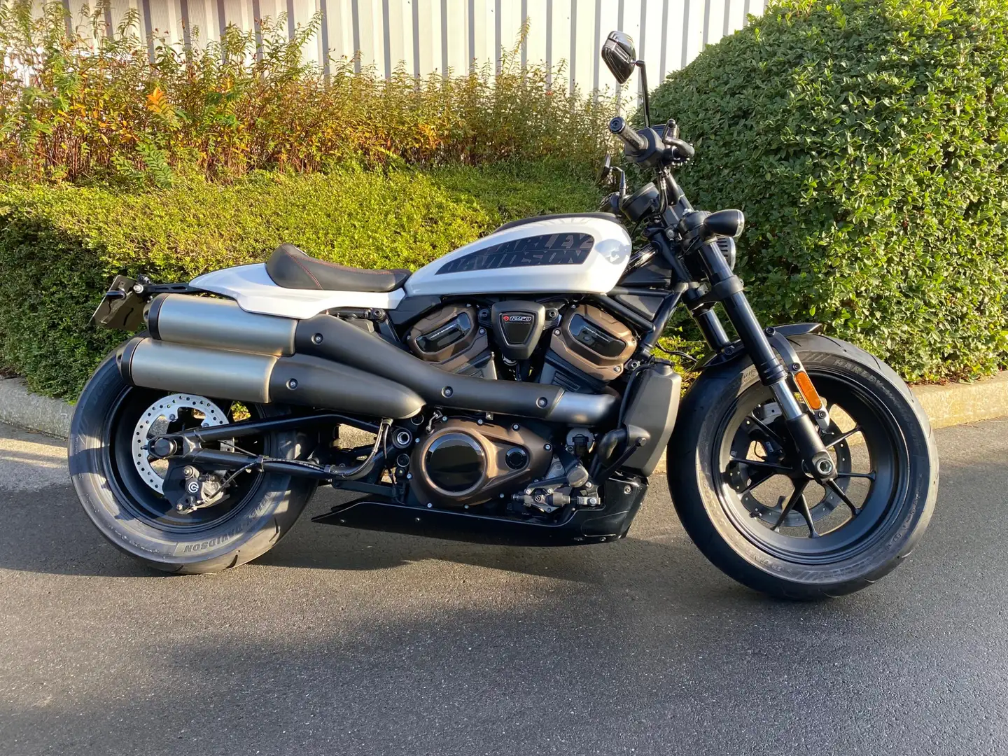 Harley-Davidson Sportster Biały - 1