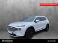 Hyundai SANTA FE Santa Fe 2.2 CRDi Prime 4WD 5-Sitzer(E6d) Navi SHZ Blanco - thumbnail 1