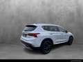 Hyundai SANTA FE Santa Fe 2.2 CRDi Prime 4WD 5-Sitzer(E6d) Navi SHZ Blanco - thumbnail 5
