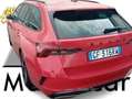 Skoda Octavia IV  Wagon 2.0 tdi evo RS 4x4 4WD 200cv dsg GF316RW Rosso - thumbnail 3