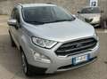 Ford EcoSport EcoSport 2018 1.5 tdci Titanium awd s Argento - thumbnail 5