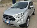 Ford EcoSport EcoSport 2018 1.5 tdci Titanium awd s Argento - thumbnail 1