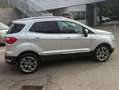 Ford EcoSport EcoSport 2018 1.5 tdci Titanium awd s Argento - thumbnail 4