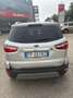 Ford EcoSport EcoSport 2018 1.5 tdci Titanium awd s Argento - thumbnail 3