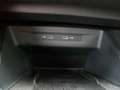 CUPRA Formentor FORMENTOR VZ 2.0 TSI DSG GAR.-03/27* NAVI SITZH. Wit - thumbnail 20