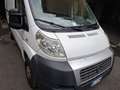 Fiat Ducato bisness - thumbnail 5