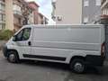 Fiat Ducato bisness - thumbnail 3
