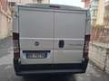 Fiat Ducato bisness - thumbnail 1