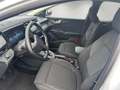 Ford Puma Titanium 1.0 LED/360-Kamera/Allwetter/Shz. Weiß - thumbnail 7