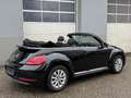 Volkswagen Beetle Cabrio 1,2 TSI Design Noir - thumbnail 5
