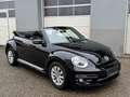 Volkswagen Beetle Cabrio 1,2 TSI Design Noir - thumbnail 1