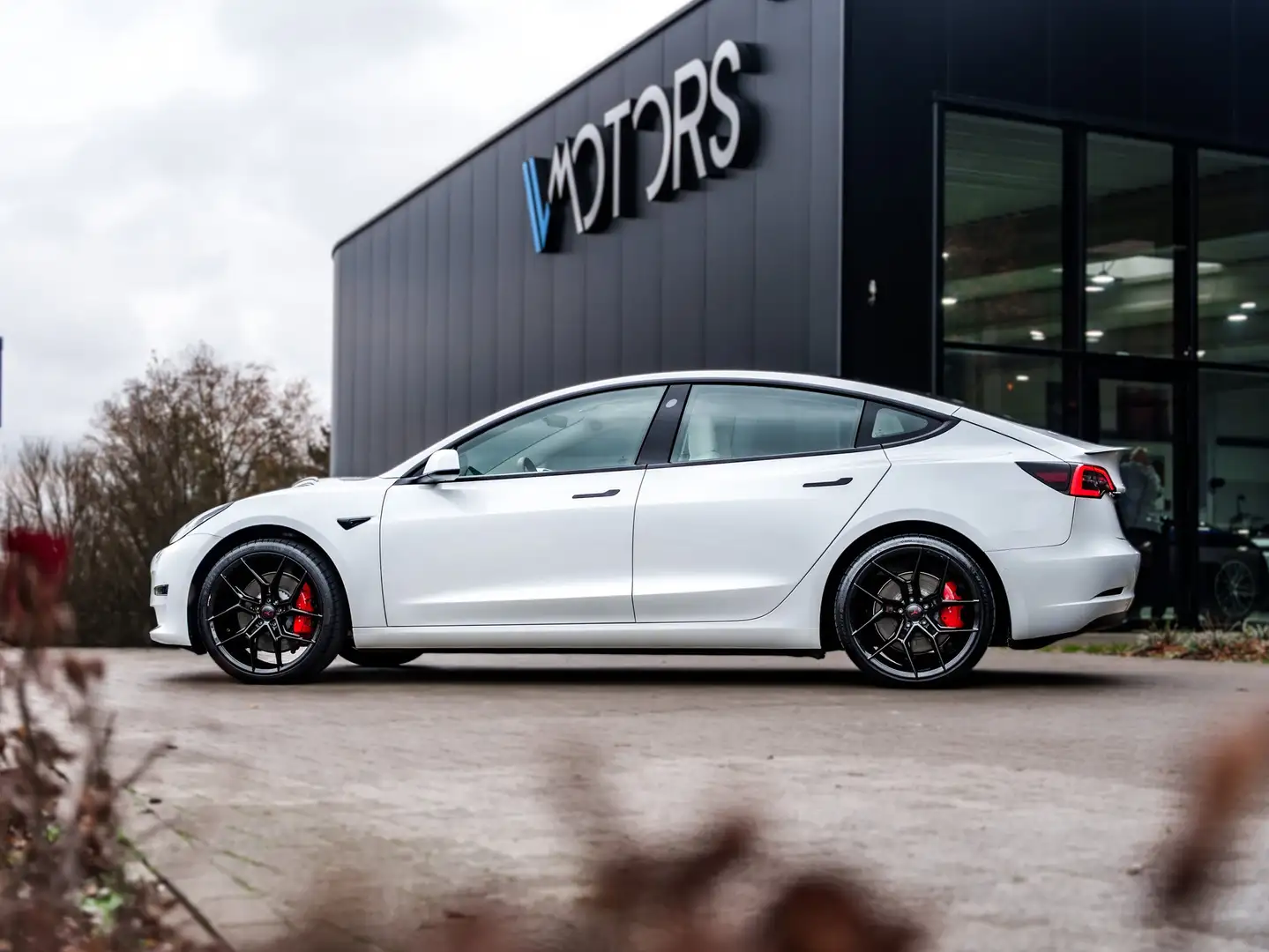 Tesla Model 3 Model 3 Dual Motor Performance - Full self drive Wit - 2