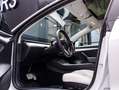 Tesla Model 3 Model 3 Dual Motor Performance - Full self drive Wit - thumbnail 10