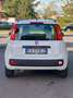 Fiat Panda 1.2 Lounge 69cv E6 - thumbnail 6