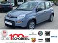 Fiat Panda MY23 Hybrid 1.0 GSE Gris - thumbnail 1