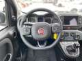 Fiat Panda MY23 Hybrid 1.0 GSE Gris - thumbnail 7