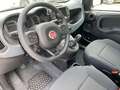 Fiat Panda MY23 Hybrid 1.0 GSE Gris - thumbnail 5