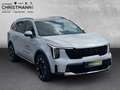 Kia Sorento PLATINUM 4WD 2.2 CRDi *PANORAMADACH*PREMIUM-PAKET* Silber - thumbnail 7