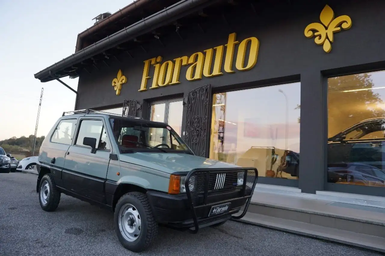 Fiat Panda 4x4 965cc edizione limitata 5000 esemplari, foto 2